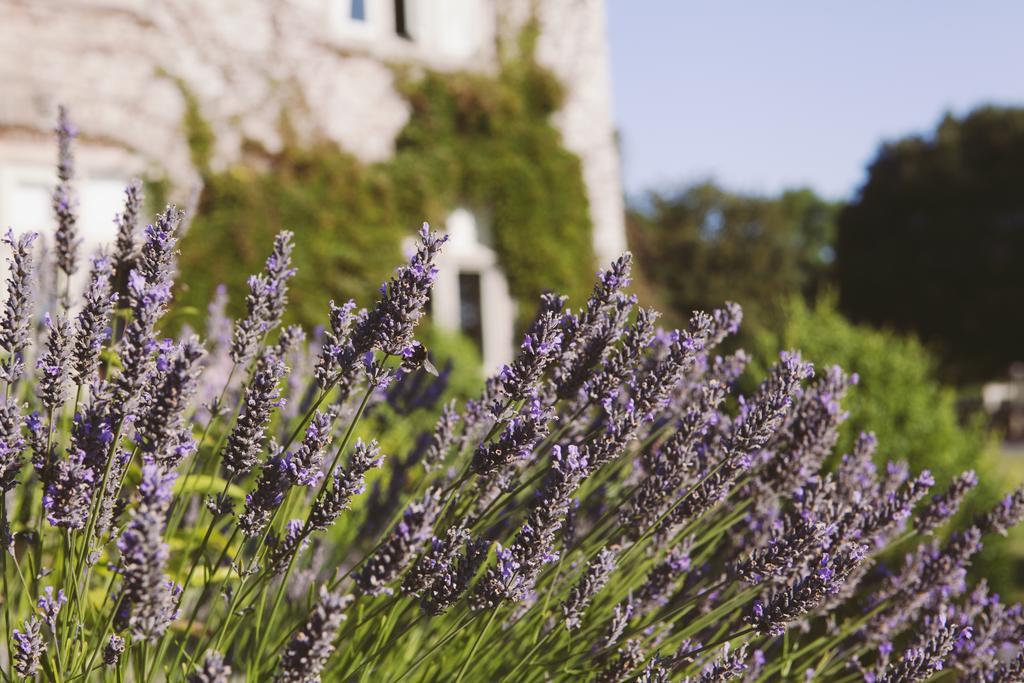 Country house Langdon Court And Restaurant Plymouth