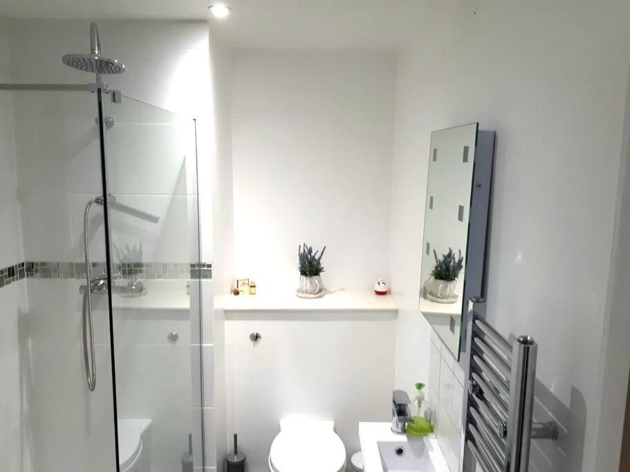 Apartment River Views, Free Parking, Near Royal William Yard