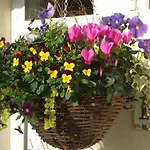 Casa Mia Guest House