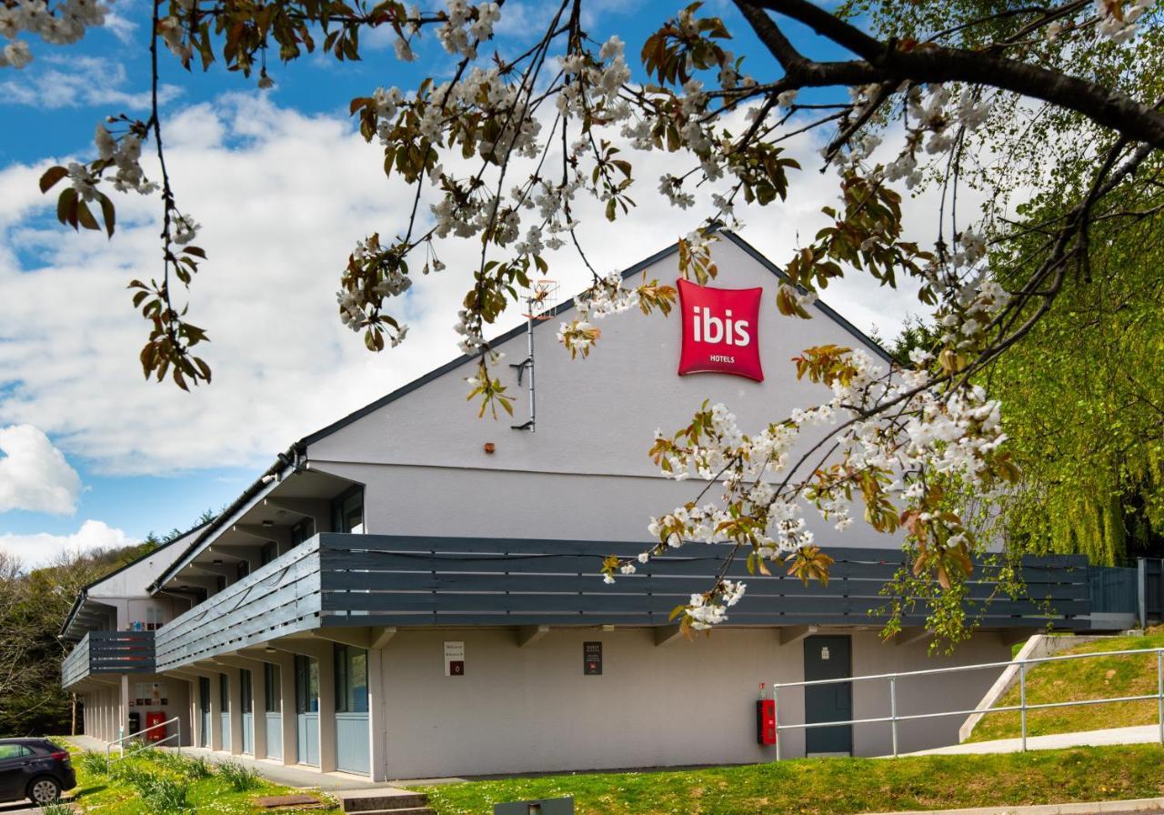 Ibis