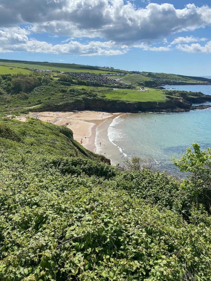 Homestay St Anne's House Plymouth