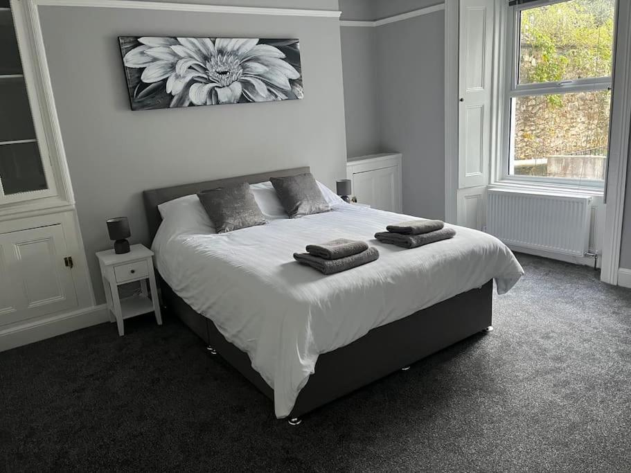 Large 1 Bedroom Flat With Private Parking * Plymouth