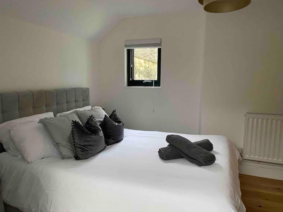 Apartment Charming Barbican/hoe Parking,courtyard!
