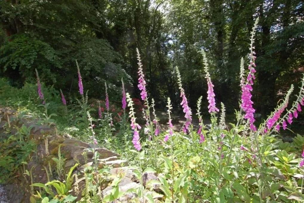 Apartment Maristow Cottages, Overlook Tamar Valley Dartmoor Plymouth