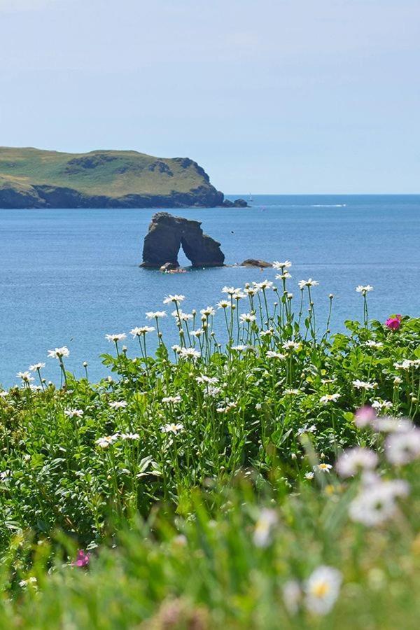 Charming Sea Haven House, Close To The Marina Holiday home Plymouth