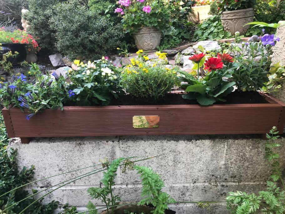 Bumble Bee Apartment