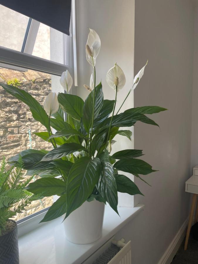Great 2 Bedroom Flat Apartment *