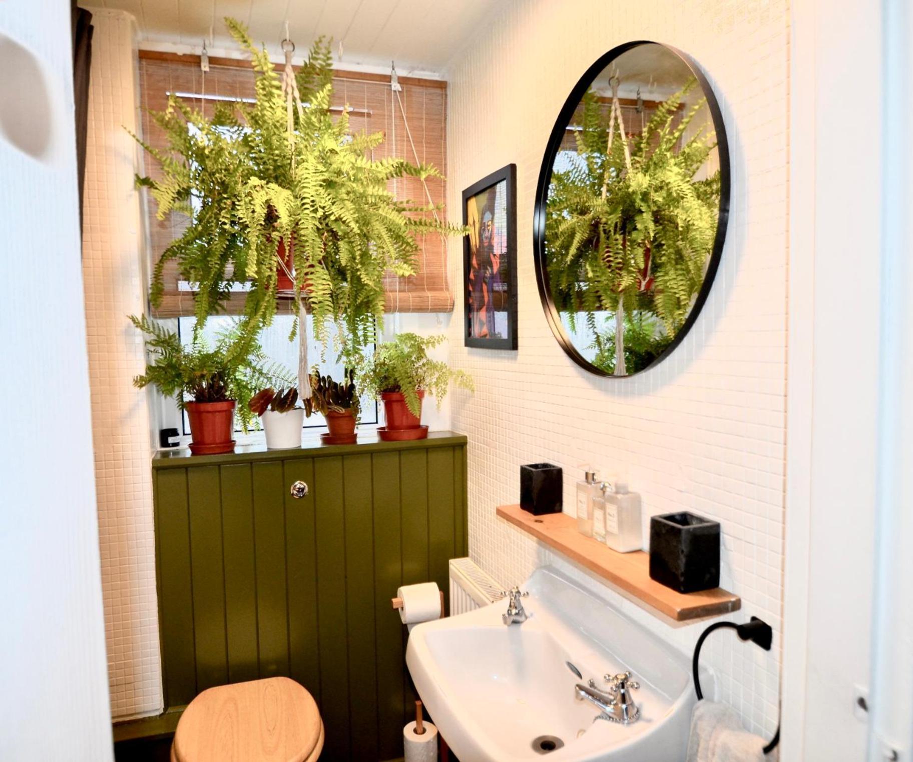 Bright And Cosy, 3 Bedroom
