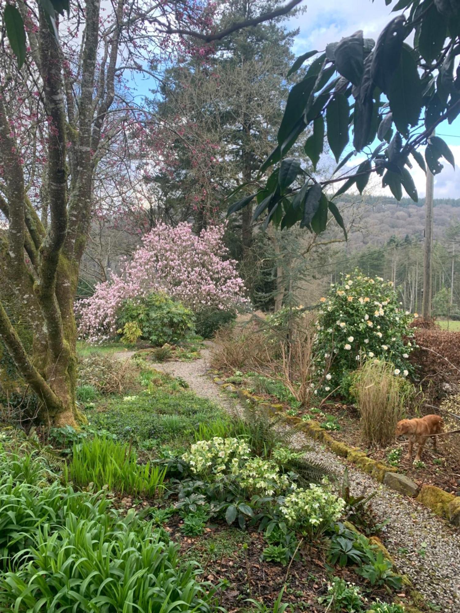 Maristow Cottages, Overlook Tamar Valley Dartmoor Apartment *