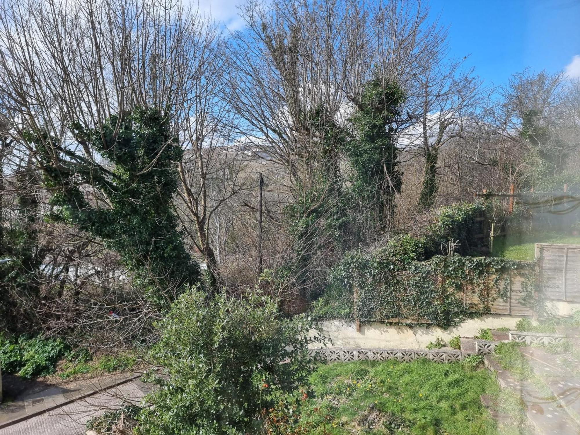 Radiant Manor Lane