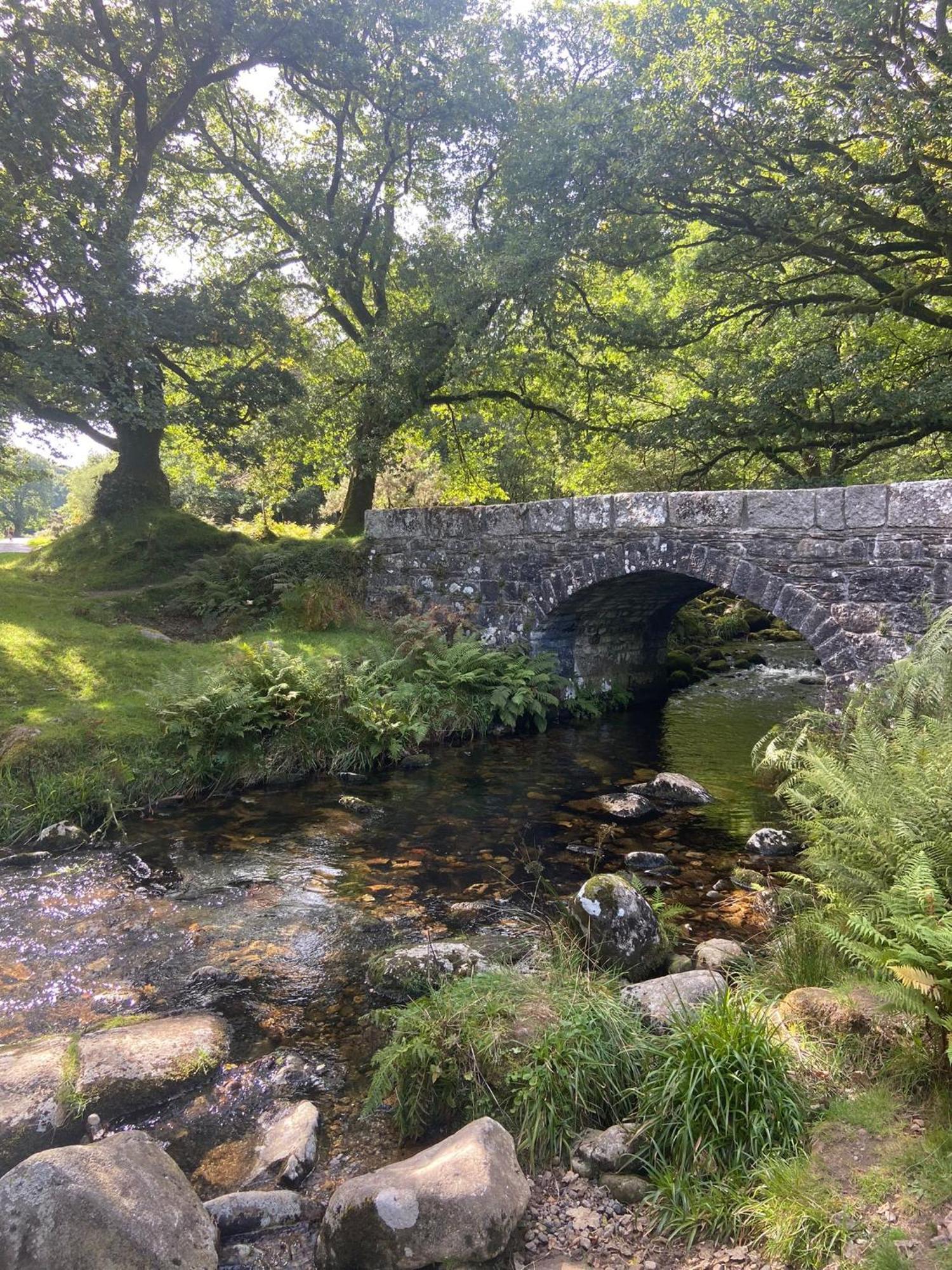 Maristow Cottages, Overlook Tamar Valley Dartmoor *