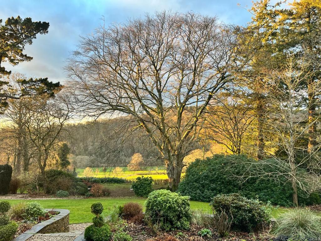 Maristow Cottages, Overlook Tamar Valley Dartmoor Apartment