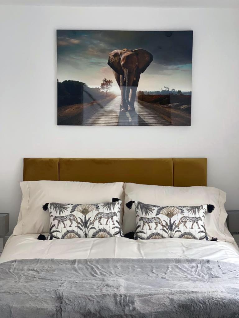 Apartment Seascape Penthouse With Free Parking
