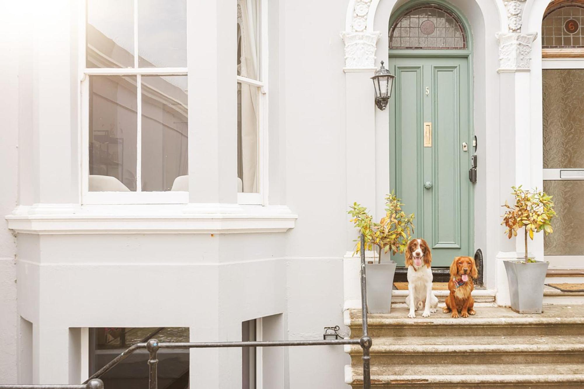 Luxury House: Pet-friendly With Access Holiday home Plymouth