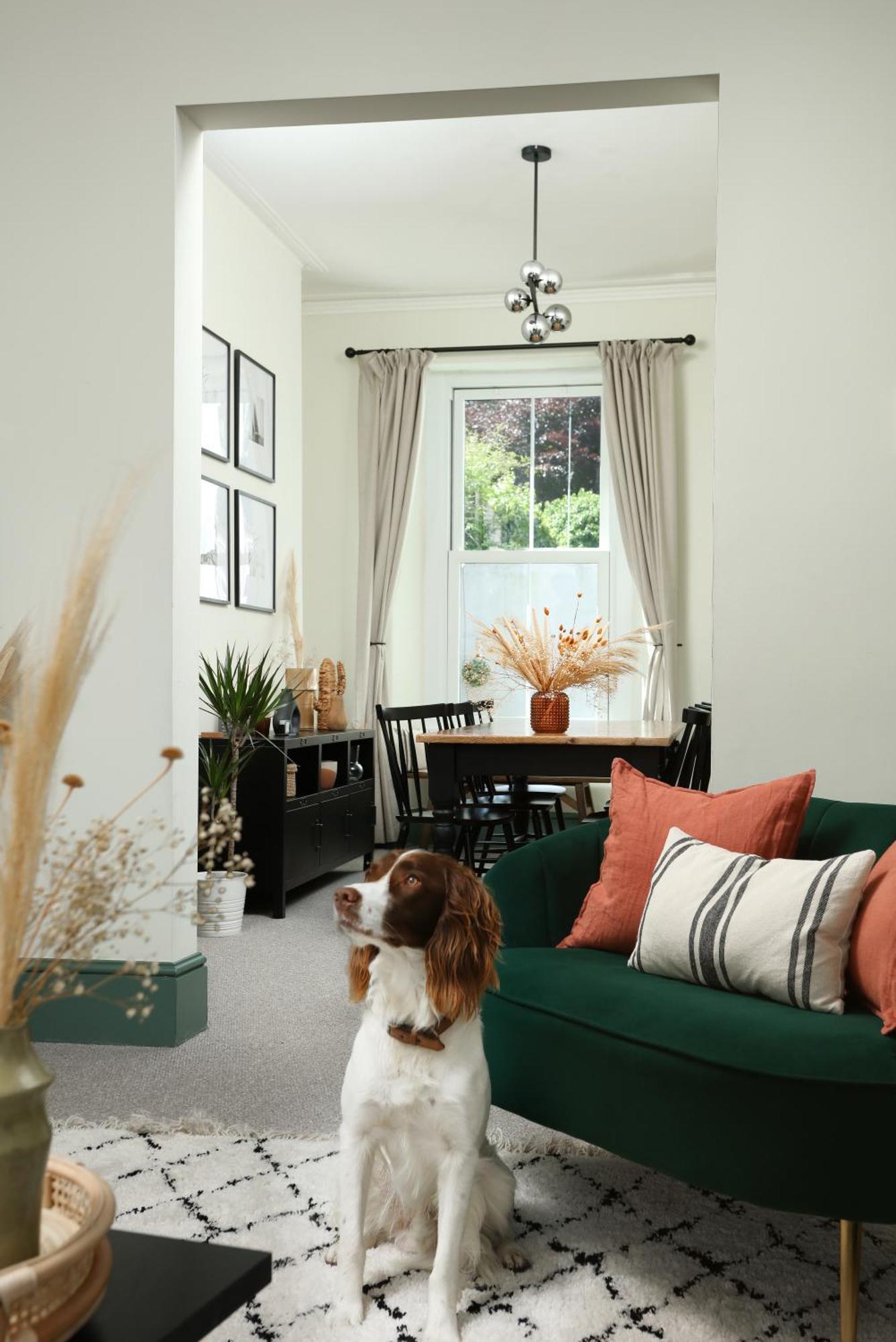 Holiday home Luxury House: Pet-friendly With Access