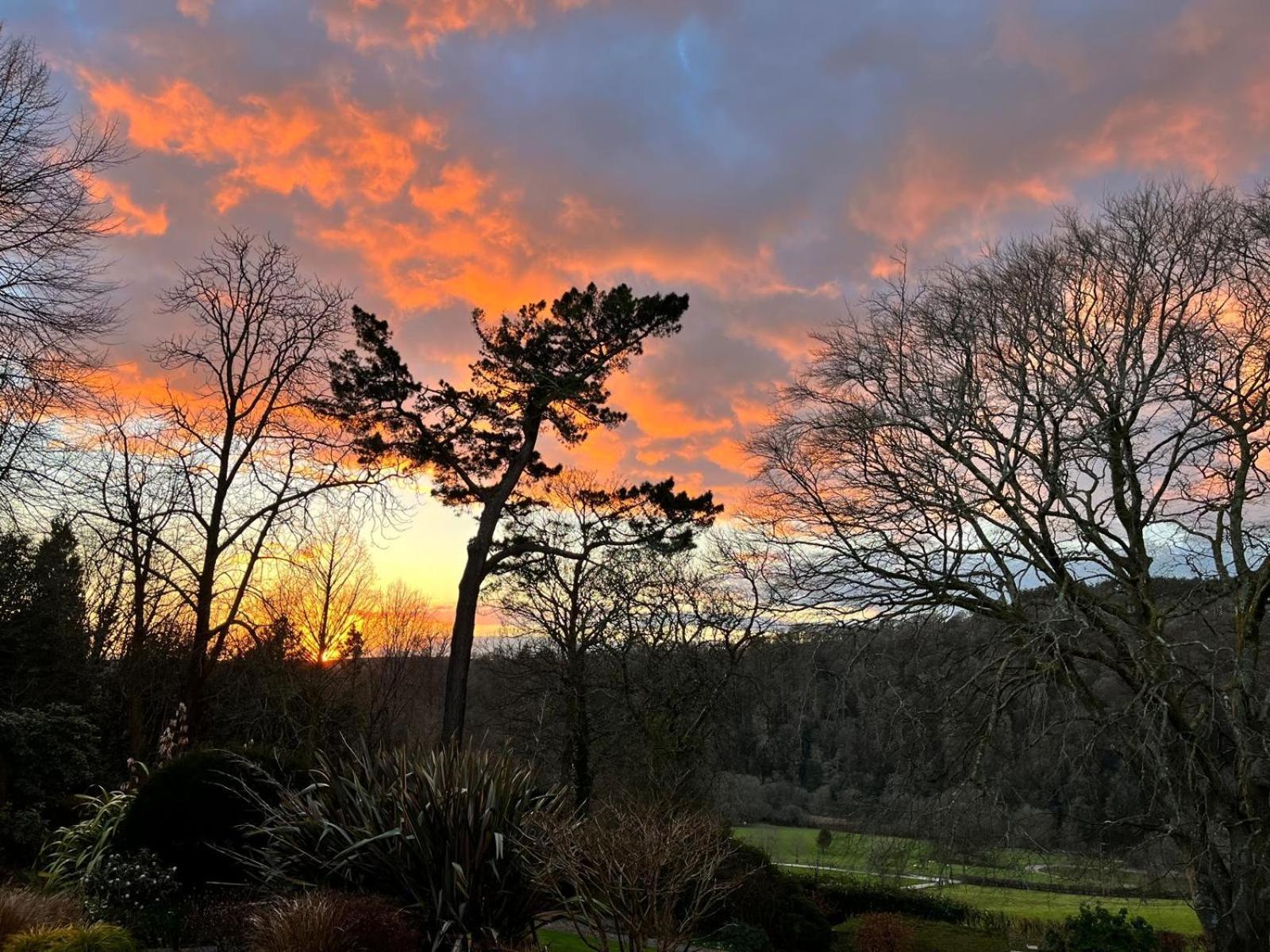 Maristow Cottages, Overlook Tamar Valley Dartmoor Apartment Plymouth
