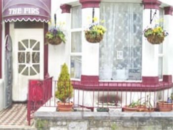 Guest house The Firs