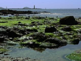 St Elizabeth's House 4* Plymouth