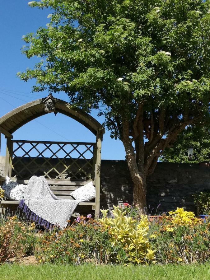Homestay Bellavista Plymouth