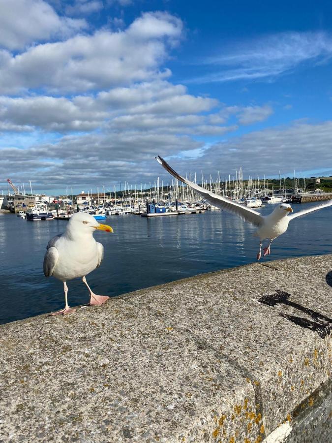 Island Since 1835 Barbican, Free Limited Parking, Dogs Friendly , Perfect For Ferry Terminal 2* Plymouth