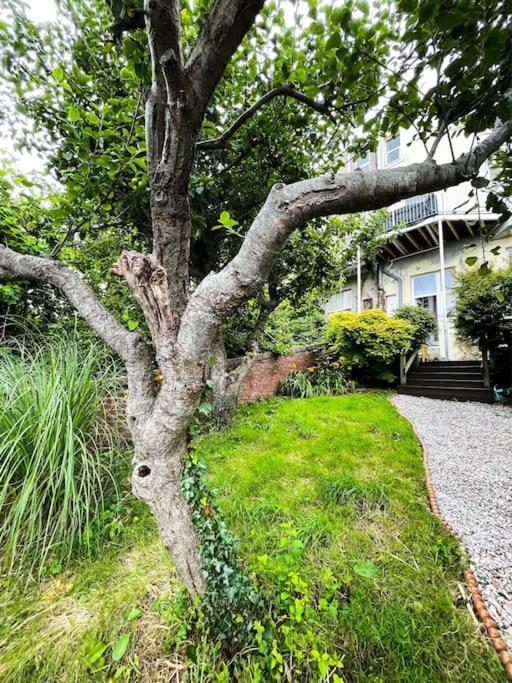 The Garden Flat Apartment