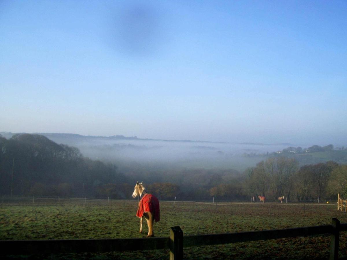 Chalet Yealm Self Catering Log In Devon With Hot Tub Plymouth