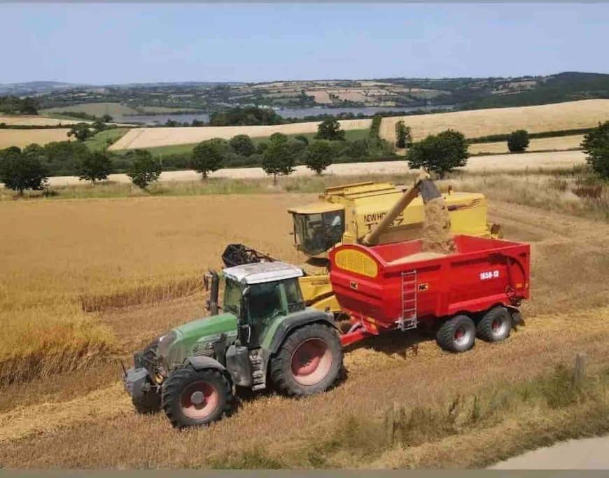 Farm *