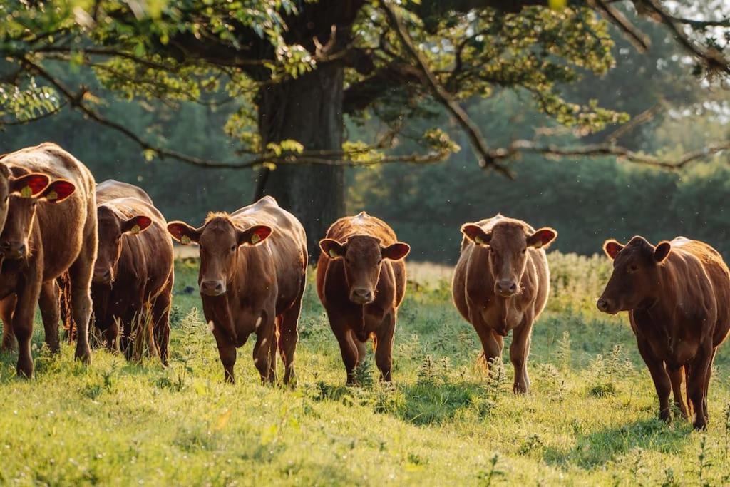 Farm