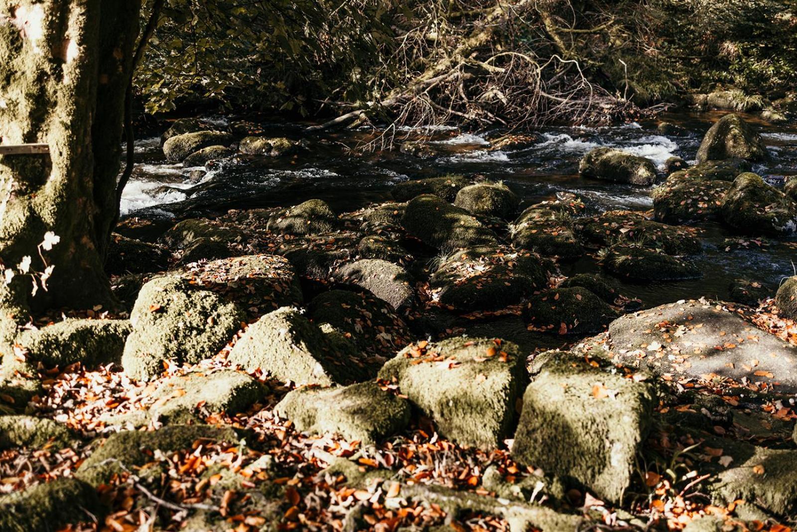 Fox Tor * Plymouth