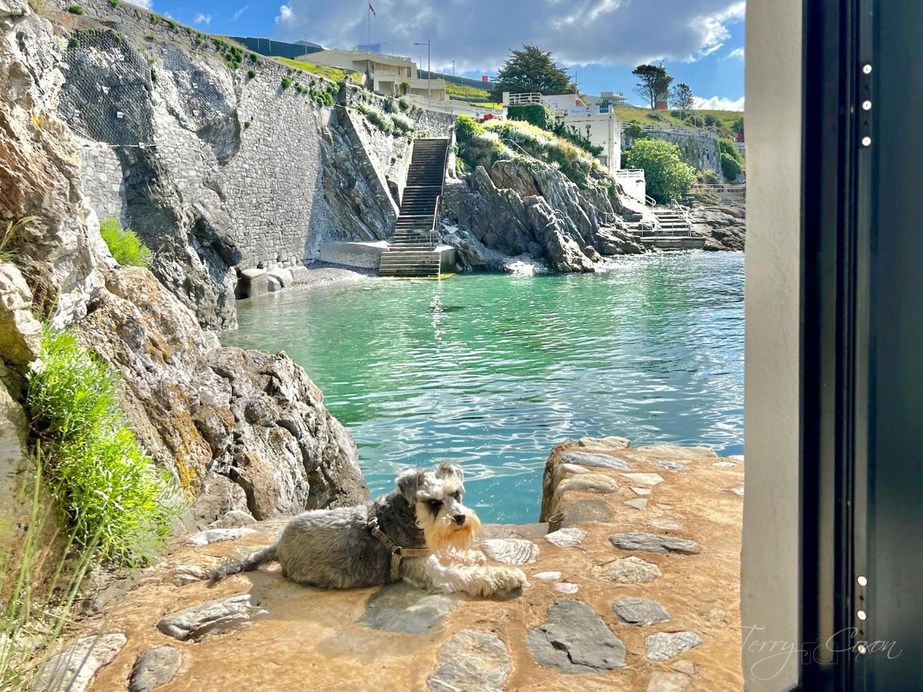 Seafront - Access - Pet Friendly * Plymouth