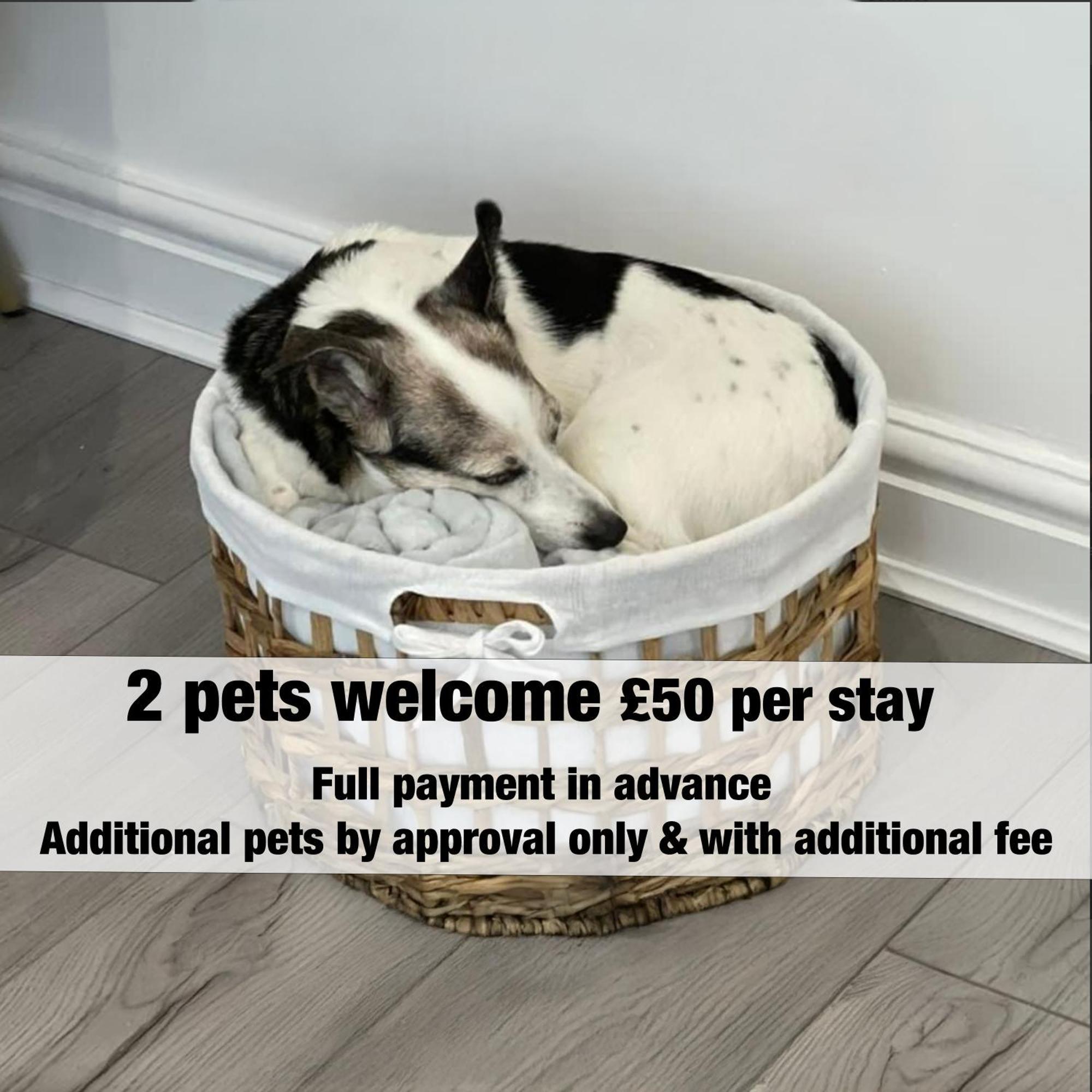 Holiday home Plym Valley Impressive House Free Parking In Great Location By Staystaycations